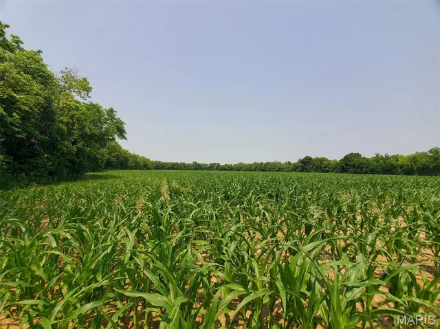 $325,000 | 1100 North 5th Street, La Grange, MO 63448