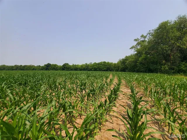 $325,000 | 1100 North 5th Street, La Grange, MO 63448