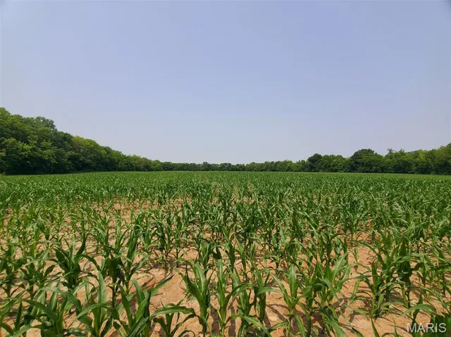 $325,000 | 1100 North 5th Street, La Grange, MO 63448