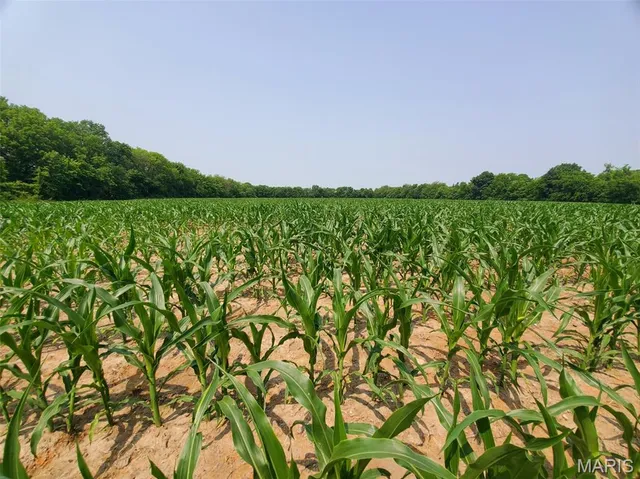 $325,000 | 1100 North 5th Street, La Grange, MO 63448