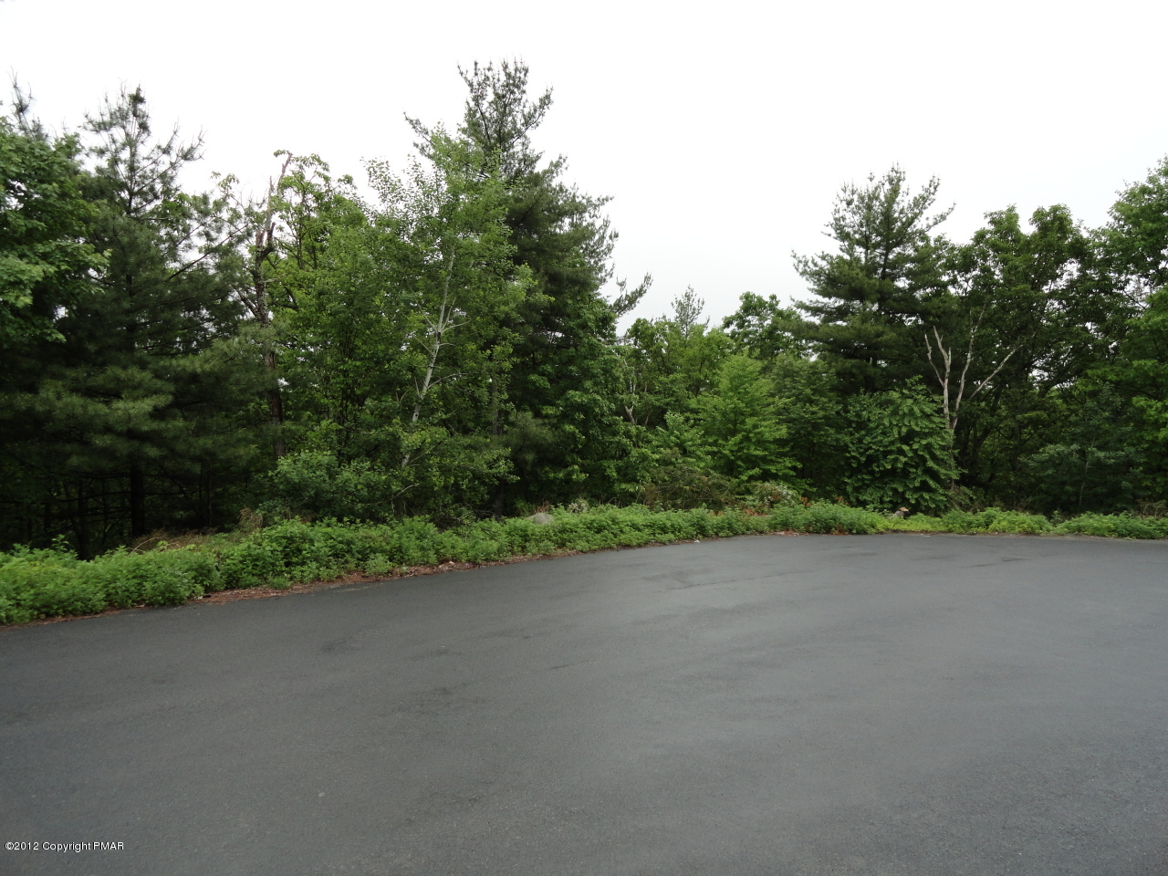Lot 11 Coach Road Bartonsville, PA 18321 - Photo 3 of 4 a view of a field with plants and trees in the background