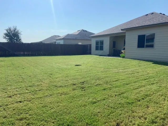 a view of a house with a yard and a large tree