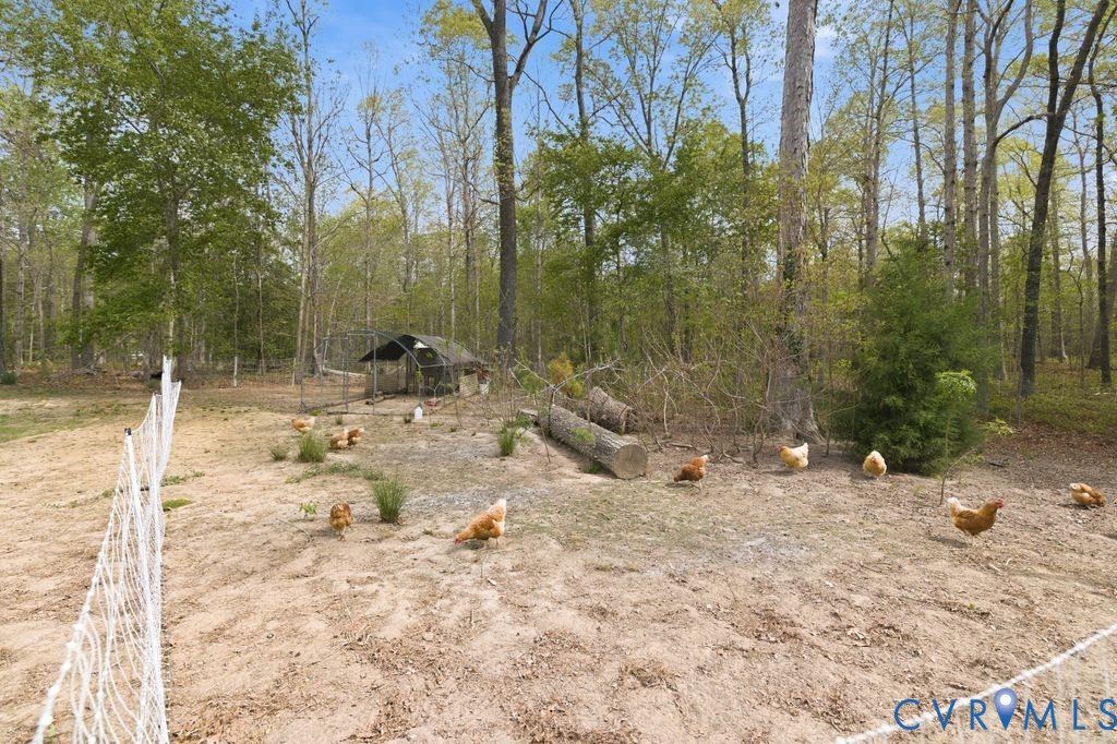13311 Lewis Road Chester, VA 23831 - Photo 41 of 57
