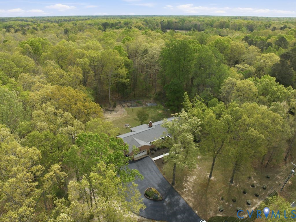 13311 Lewis Road Chester, VA 23831 - Photo 54 of 57 8 ACRES