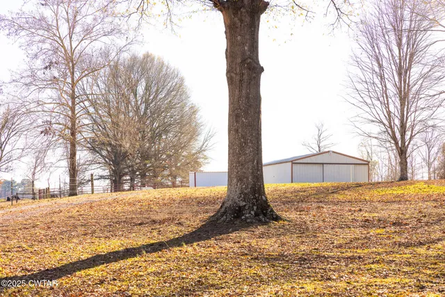 a view of a yard with trees