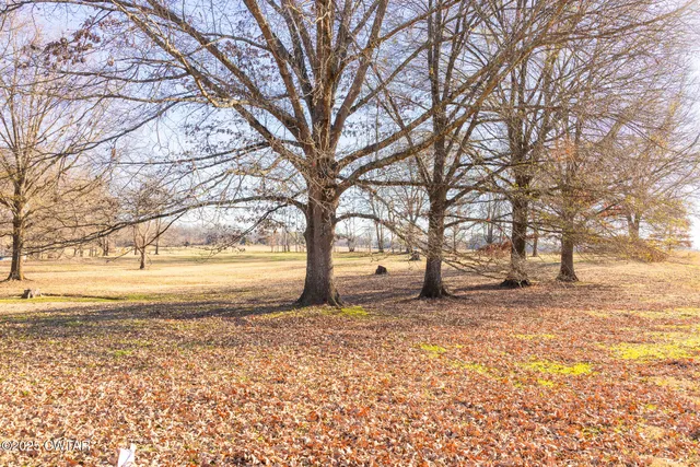a view of a yard with trees