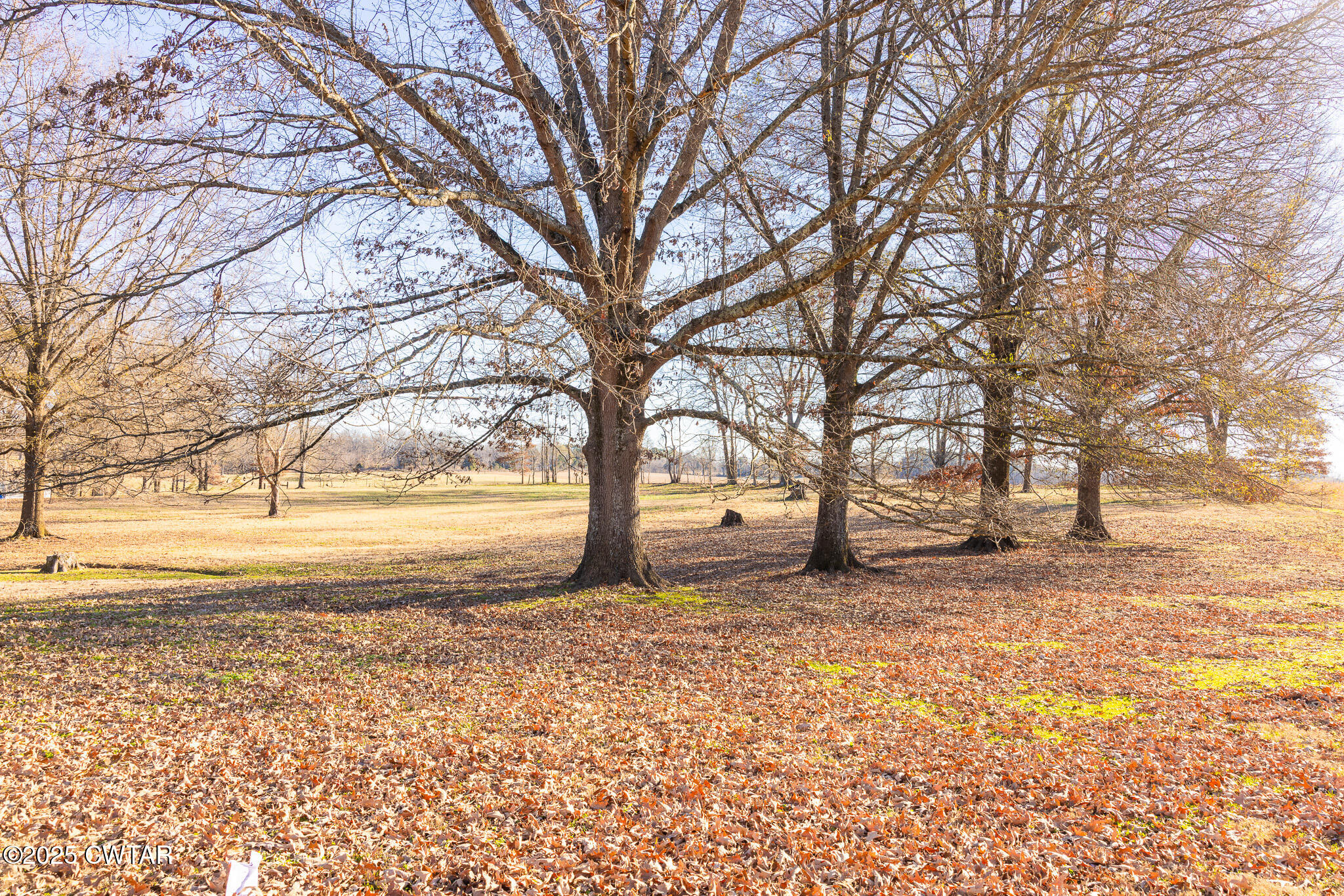 705 Smith Road Martin, TN 38237 - Photo 20 of 34 FT8A8815