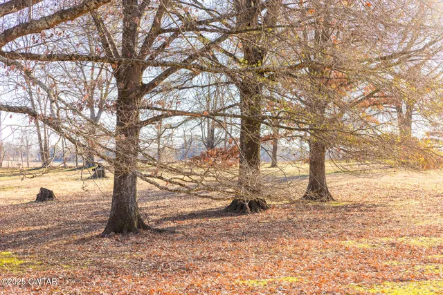 a view of an ocean with trees and houses