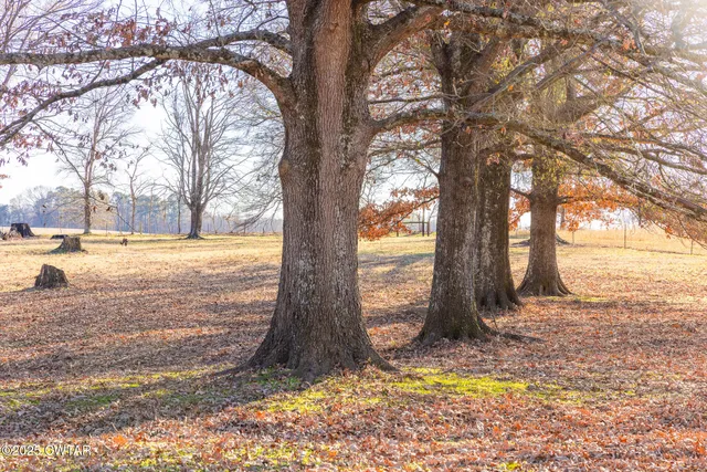 a view of lake and mountain