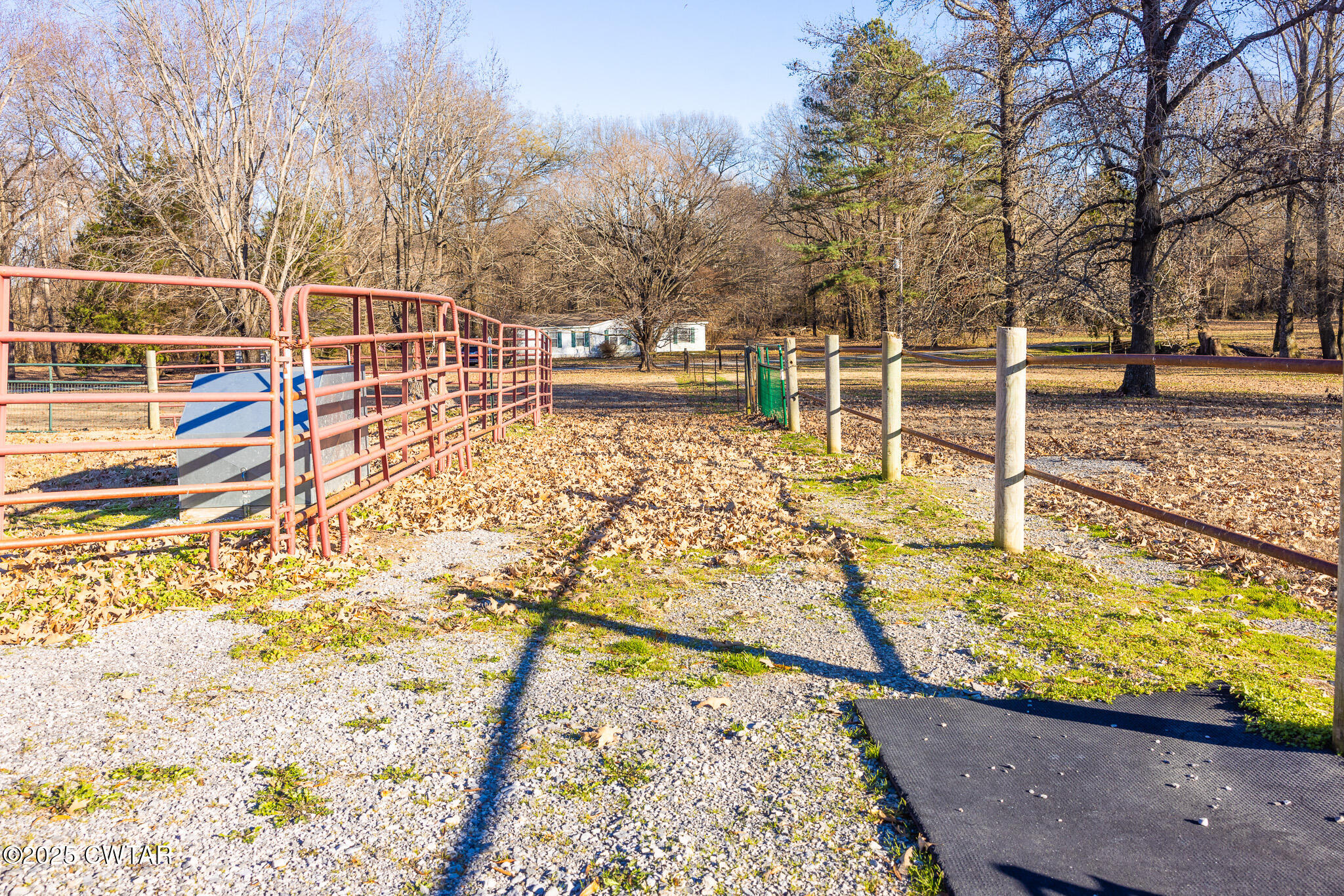 705 Smith Road Martin, TN 38237 - Photo 27 of 34 FT8A8822