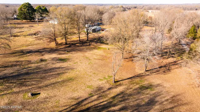 a view of yard with large trees