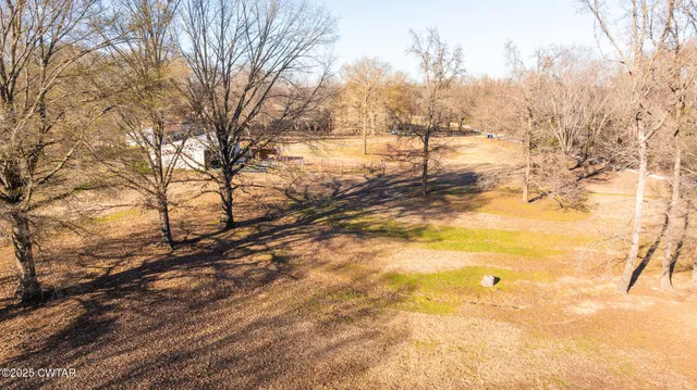 a view of empty space with trees