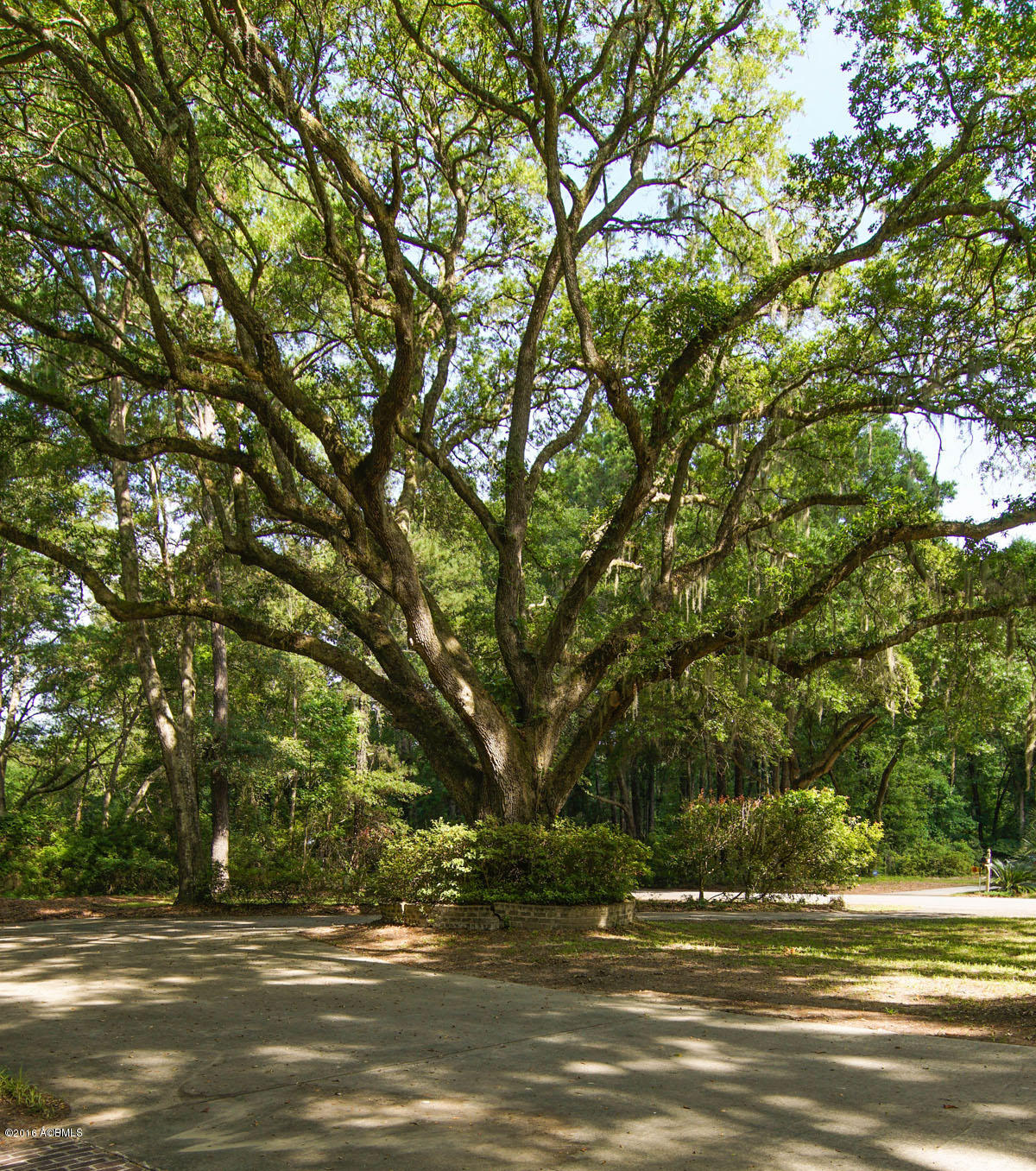 602 State Rd S-7-714 Beaufort, SC 29907 - Photo 6 of 50 DSC08532-1