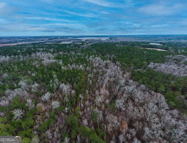 a view of a field with lots of bushes