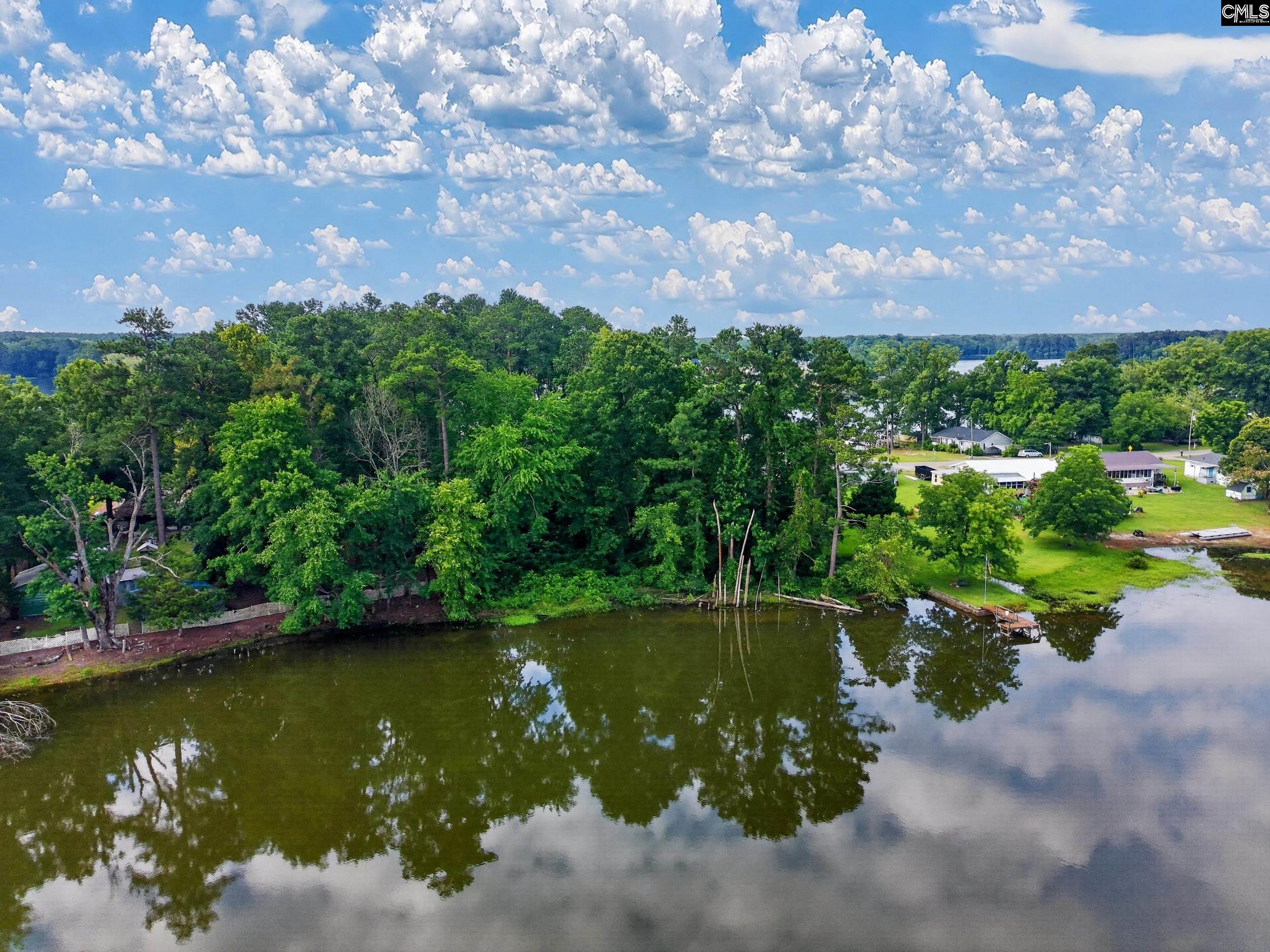 1175 Tailers Trail Prosperity, SC 29127 - Photo 4 of 16
