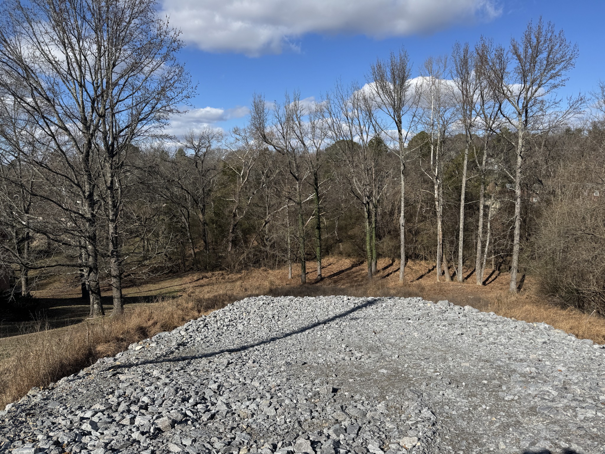 1837 Hidden Ridge Circle Mount Juliet, TN 37122 - Photo 4 of 4 a view of a road with a yard covered with snow in the background