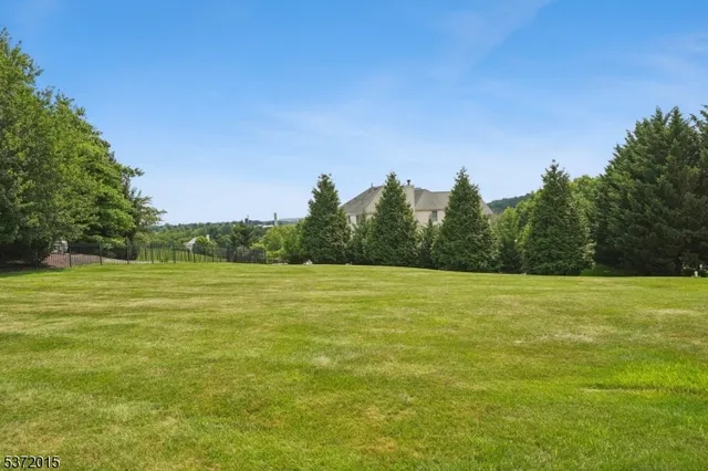 a view of an ocean from a yard