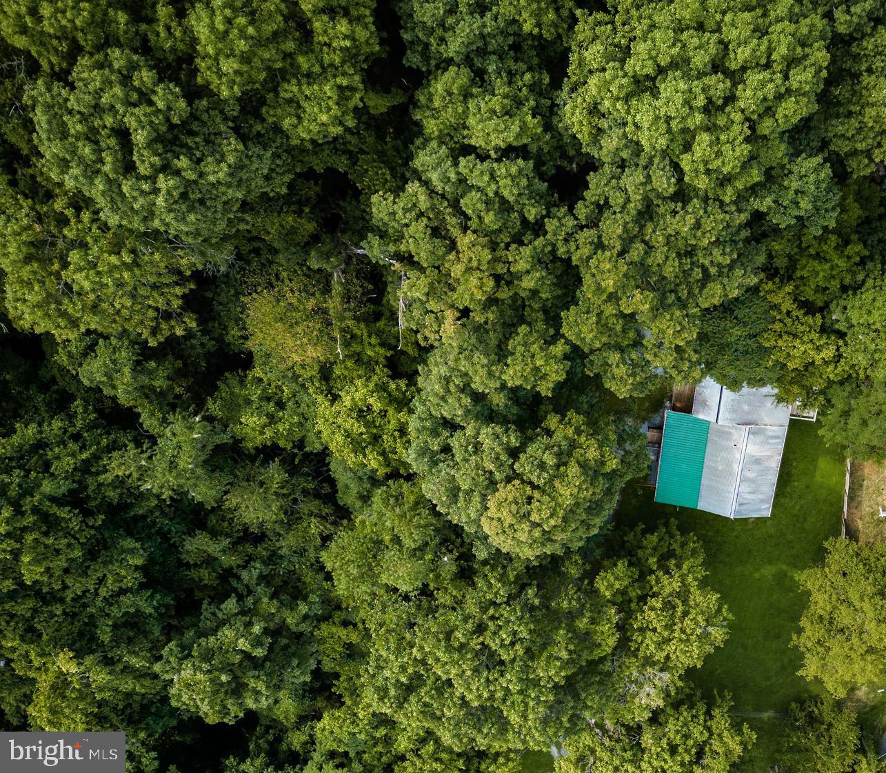 a bird view of a house in a forest