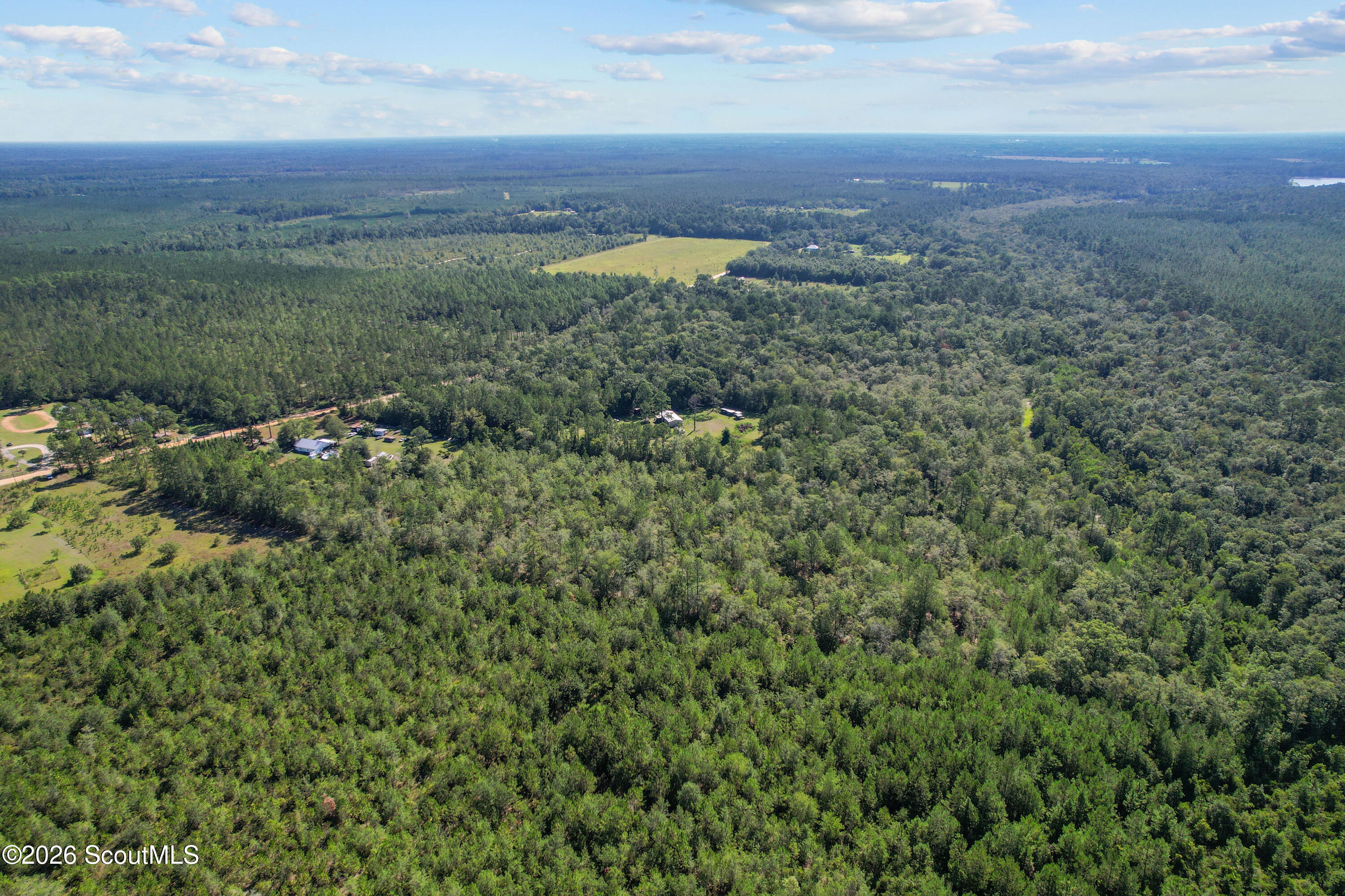 0 Strickland Road Waycross, GA 31503 - Photo 15 of 21 DJI_0592