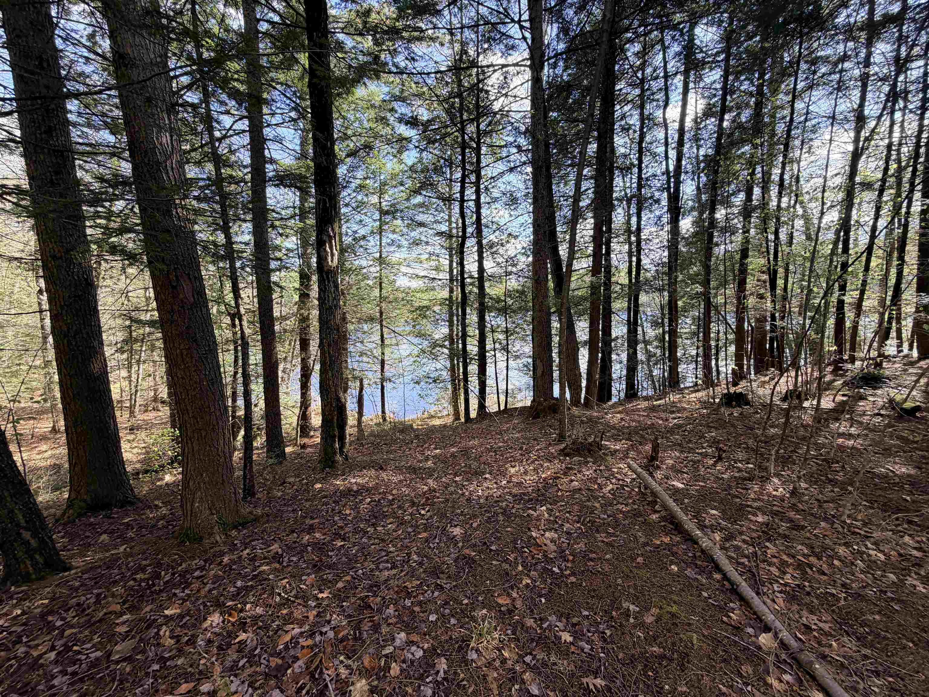 0 North Old Branch Road Antrim, NH 03440 - Photo 8 of 12