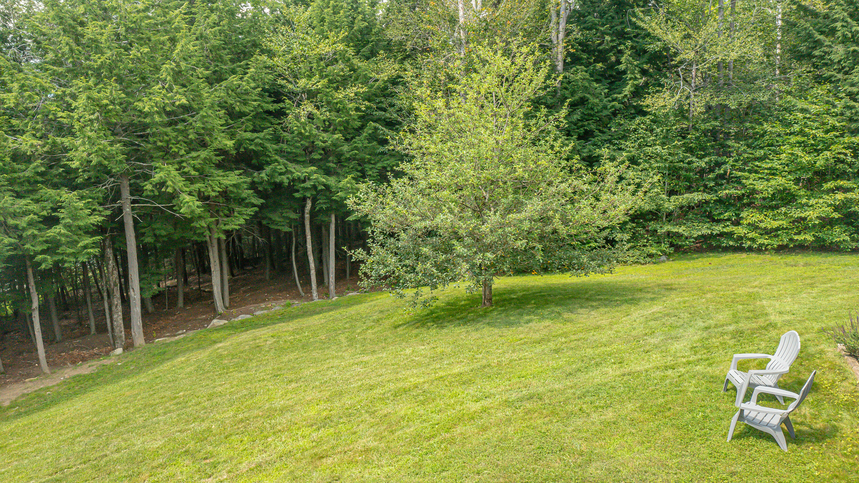 57 Wessnette Drive Hampden, ME 04444 - Photo 4 of 40 Front lawn - Copy - Copy