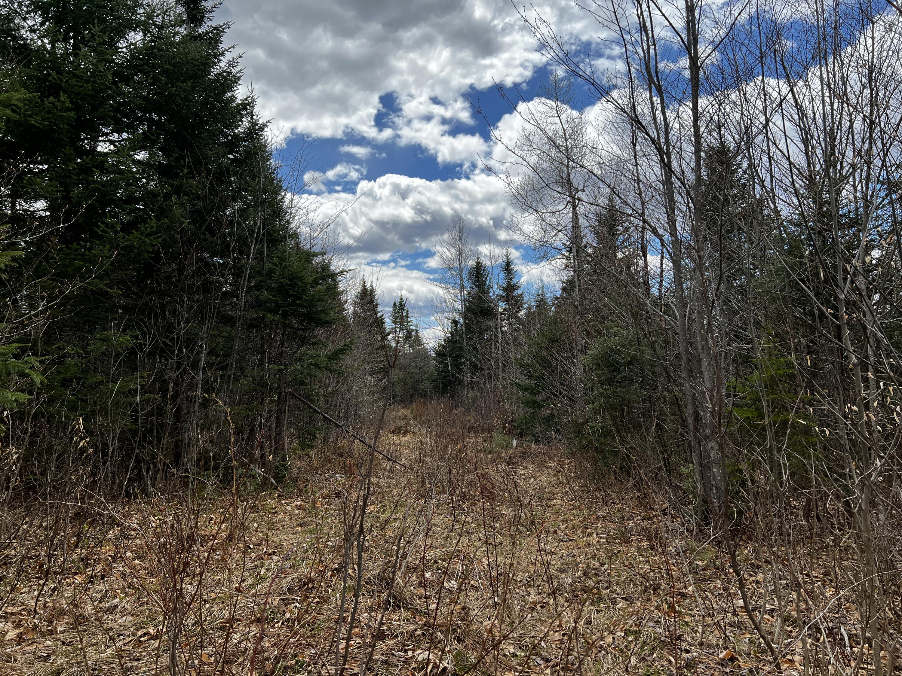 Lot 2-18 Shin Pond Rd Mount Mount Chase, ME 04765 - Photo 56 of 59