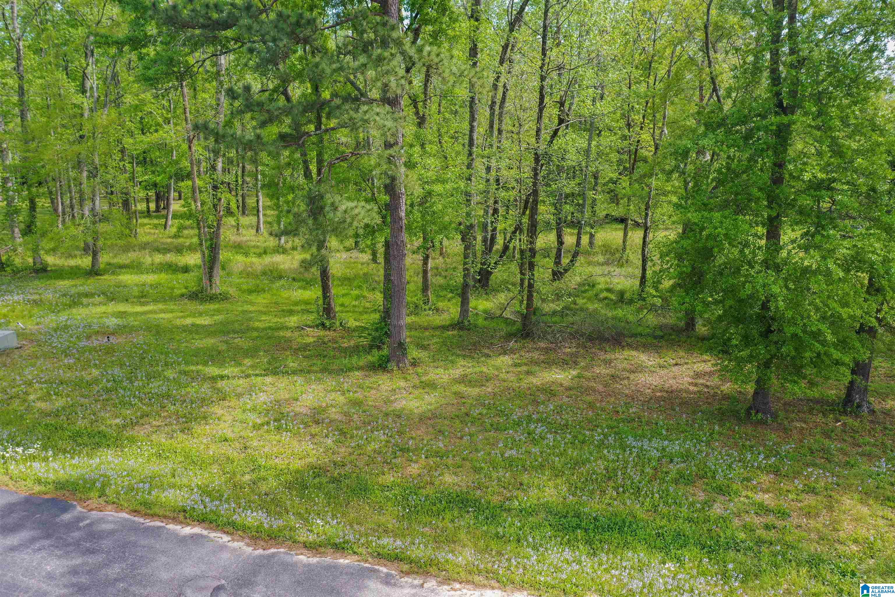 797 County Road Clanton, AL 35045 - Photo 19 of 44
