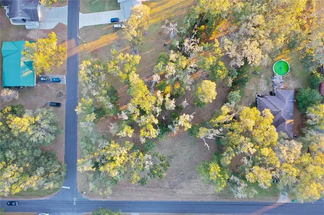 an aerial view of house with yard and mountain view in back