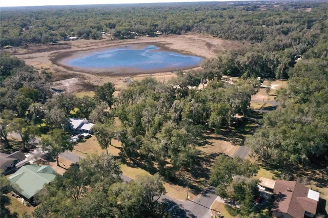 a view of a yard with plants and large trees