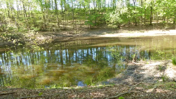 $24,950 | 8 Dusty Lane, Martinsville, VA 24112