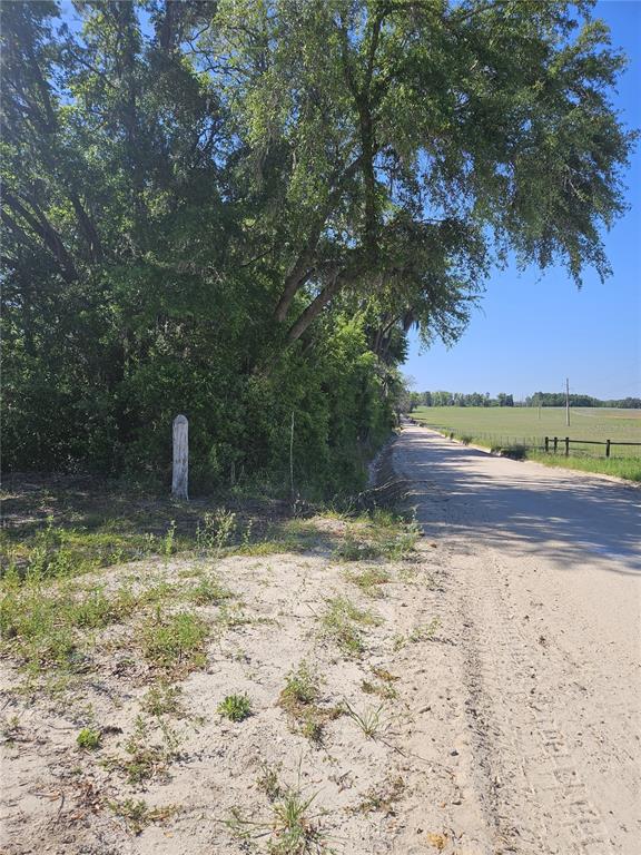 0 Southwest Mixson Road Lake City, FL 32024 - Photo 21 of 34 Gallery Image 21