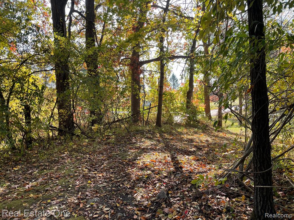 0 Dequindre Road Oakland, MI 48363 - Photo 12 of 14