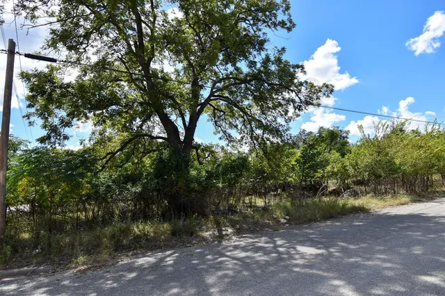 a view of a tree in a yard