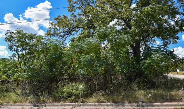 a view of a tree with a yard