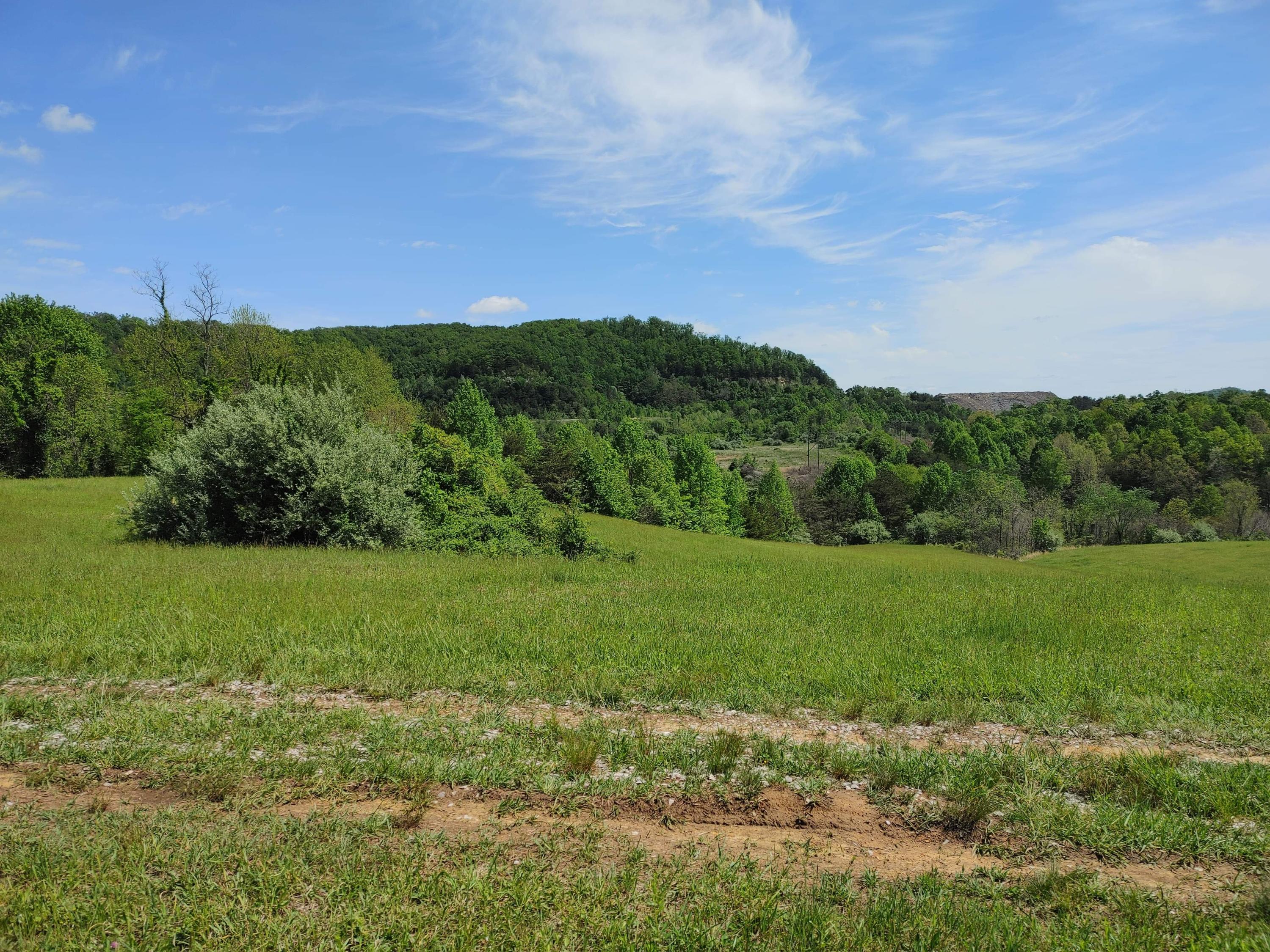 0 Lloyd Hollow Road, Unit TRACT #2B Corbin, KY 40701 - Photo 4 of 6 F3D47538-0C03-4535-9210-7A2046F485EF
