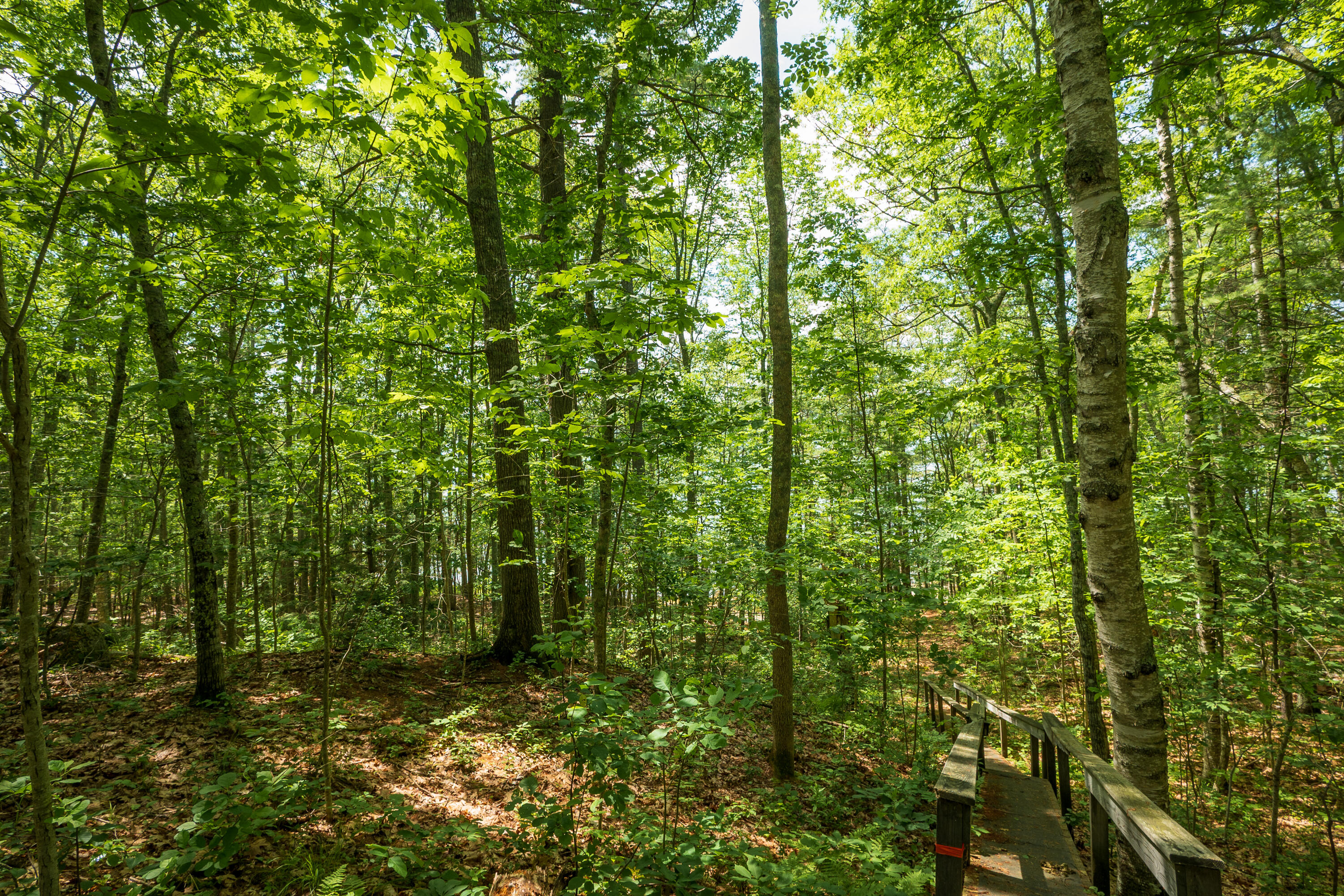 21 A Map 12 Lot21-a Bristol Road Bristol, ME 04539 - Photo 21 of 27 59-Near huston Ln-37