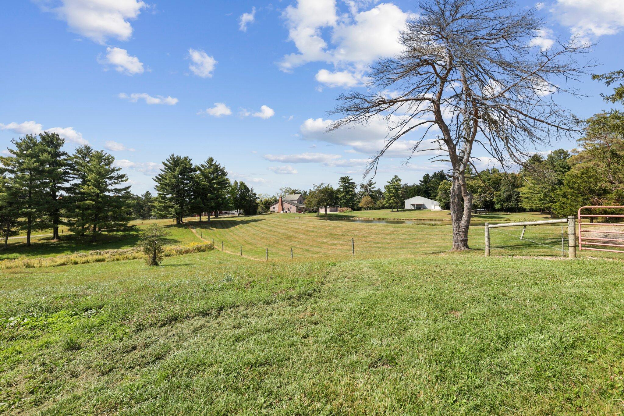 3080 Hardscrabble Road Alexandria, OH 43001 - Photo 32 of 60 32-web-or-mls-0N4A8993
