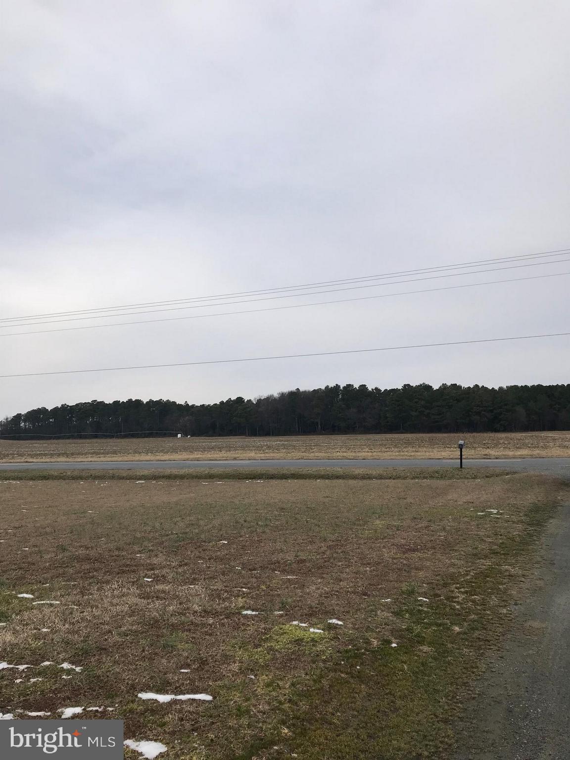14450 Trap Pond Road Laurel, DE 19956 - Photo 22 of 23 the view from the front door