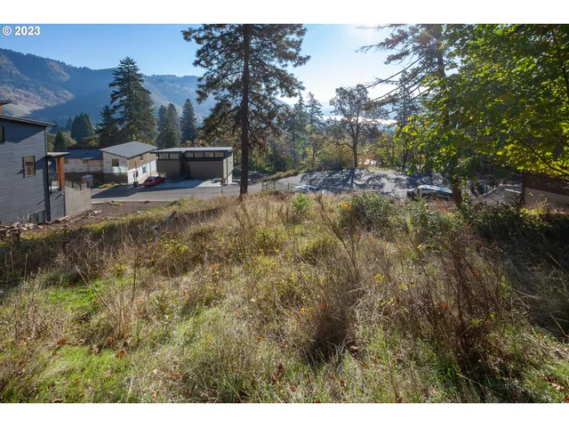 a view of backyard with outdoor and green space