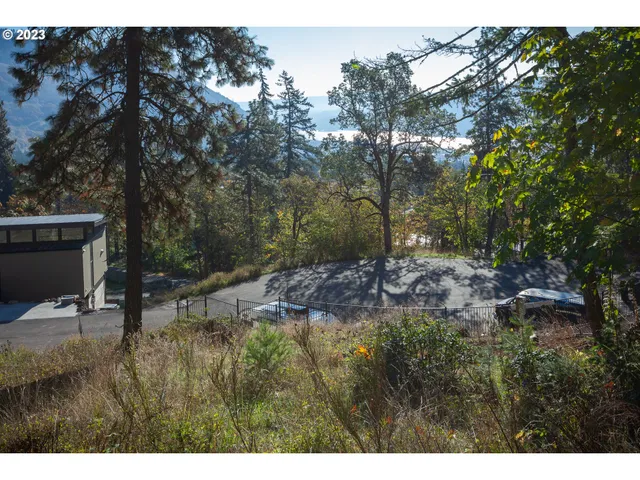 a view of a backyard of the house