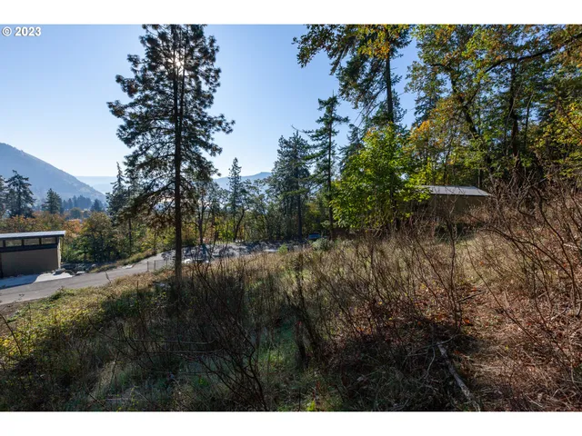 a view of outdoor space and yard
