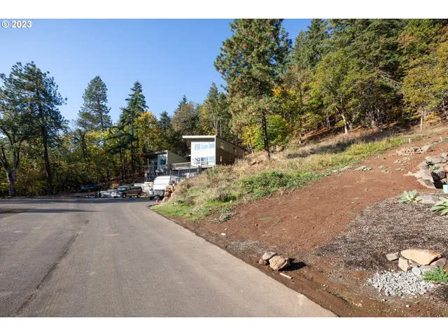 a view of a backyard of a house