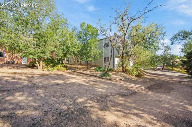 a view of road and trees