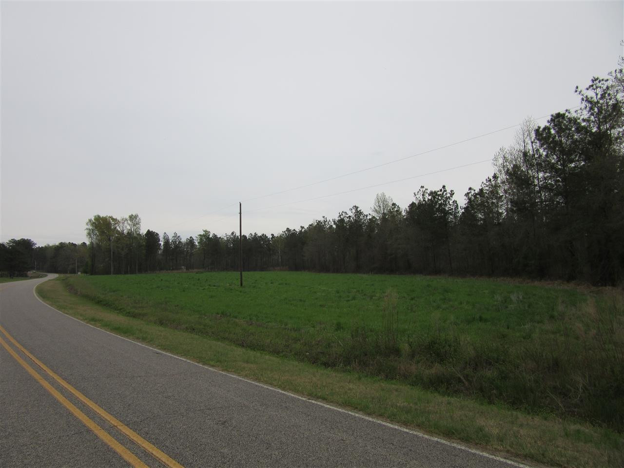9 Price Road Zebulon, NC 27597 - Photo 3 of 4 Photo 3