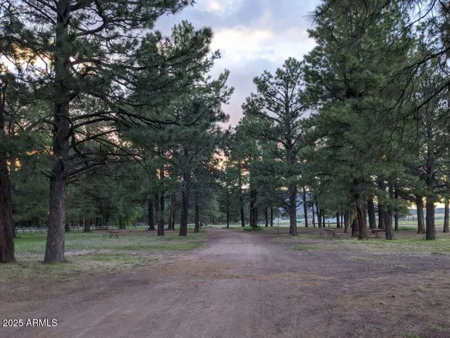 $350,000 | 1335 Park Drive, Mormon Lake, AZ 86038