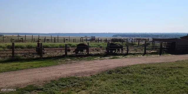 $350,000 | 1335 Park Drive, Mormon Lake, AZ 86038