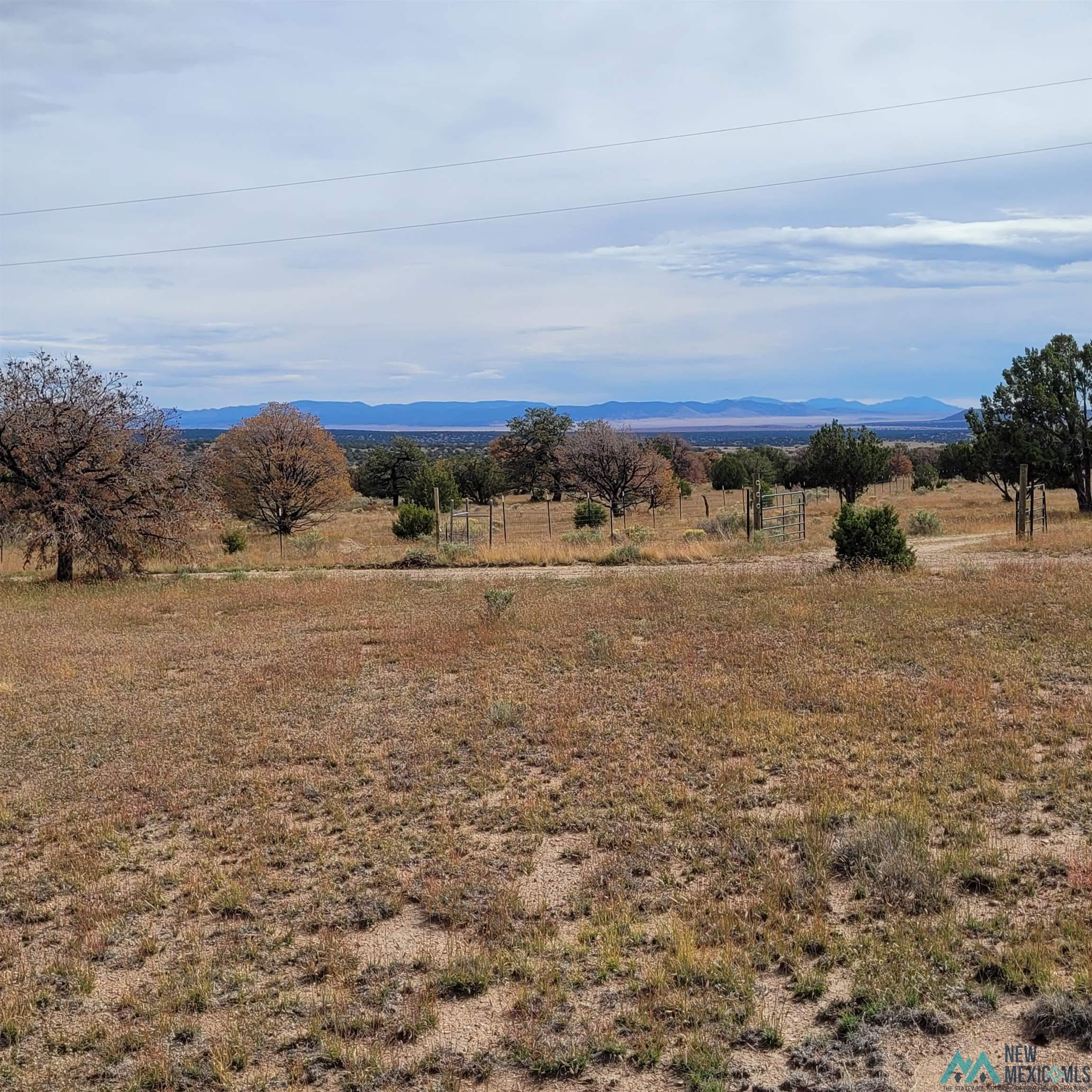15 Elk Court Datil, NM 87821 - Photo 4 of 17 Mountain view with rural landscape