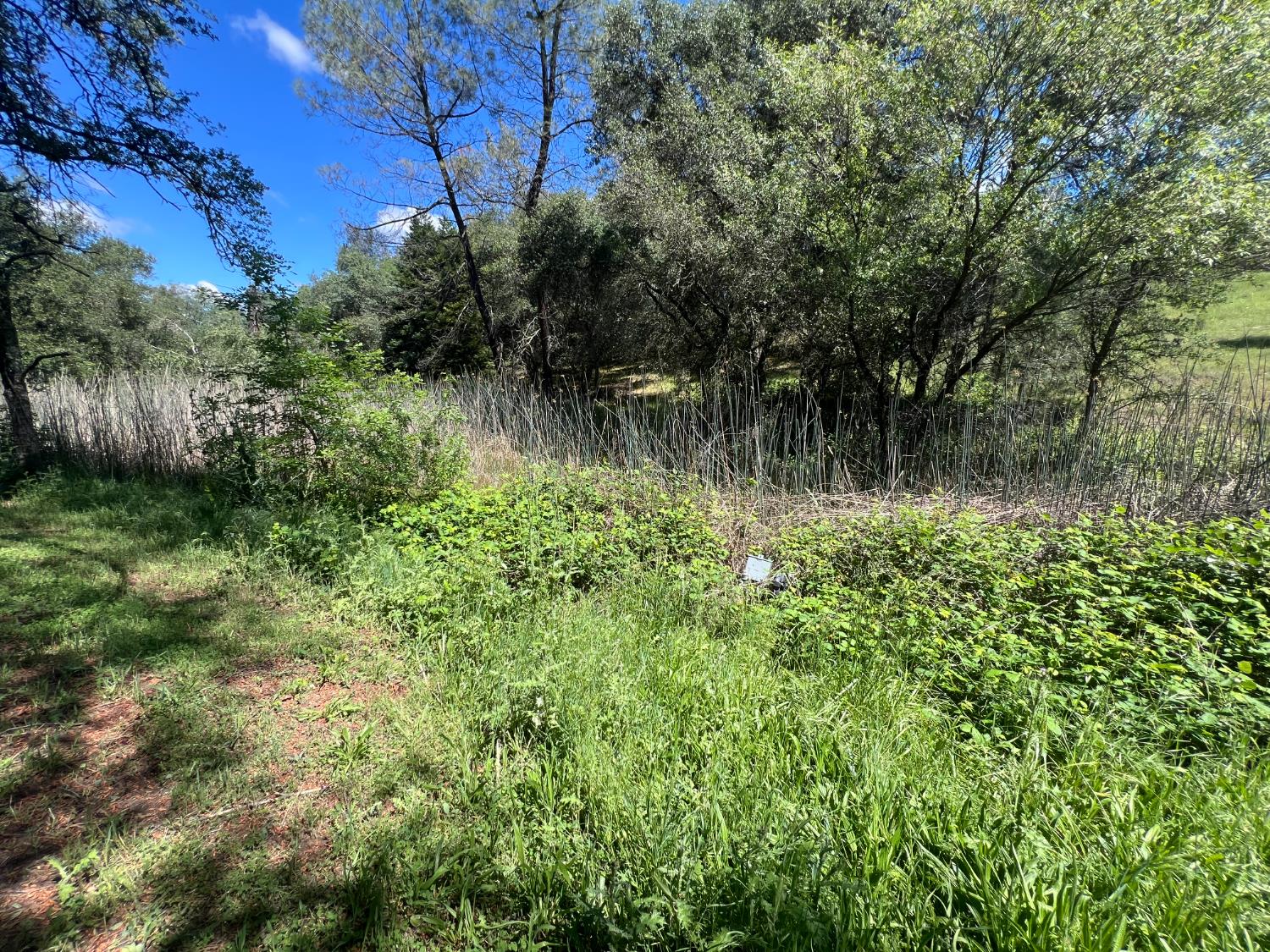 12661 Krosens Road Marysville, CA 95901 - Photo 59 of 79 a view of a lake view