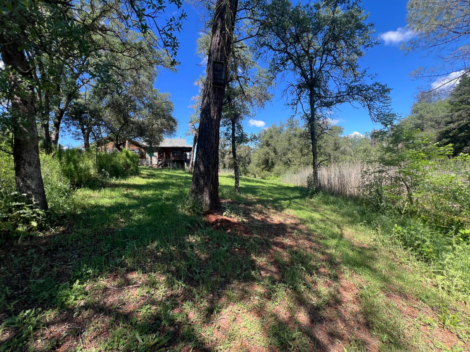 12661 Krosens Road Marysville, CA 95901 - Photo 60 of 79