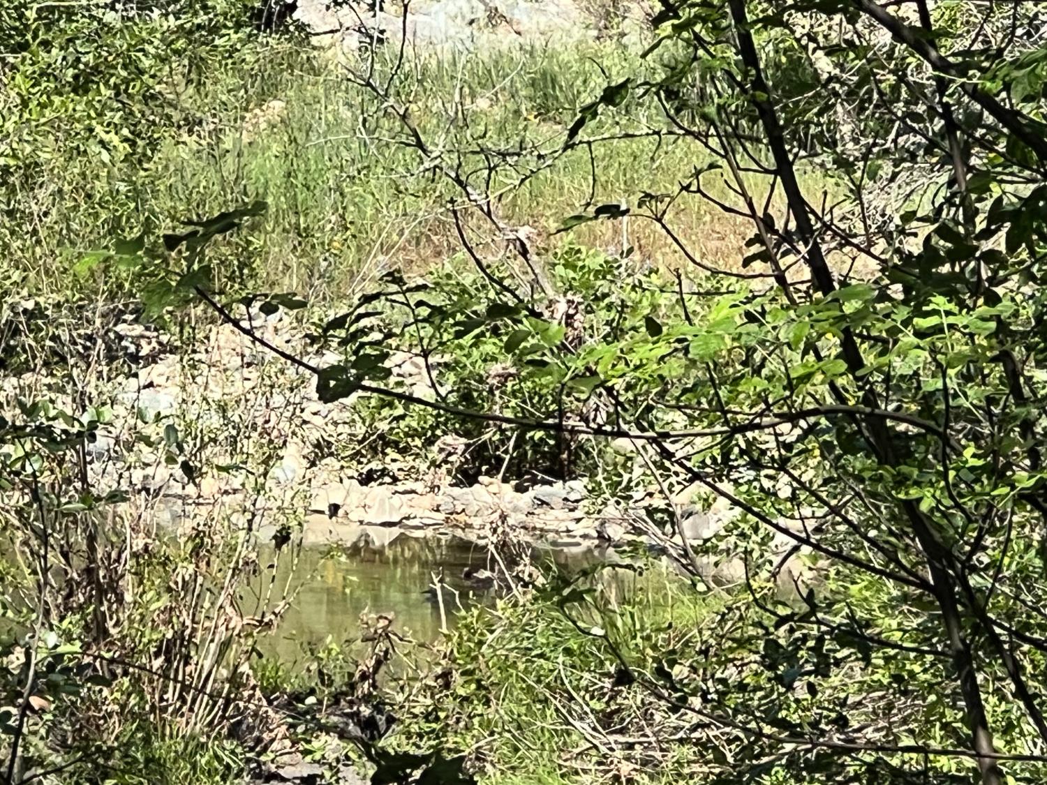 12661 Krosens Road Marysville, CA 95901 - Photo 62 of 79
